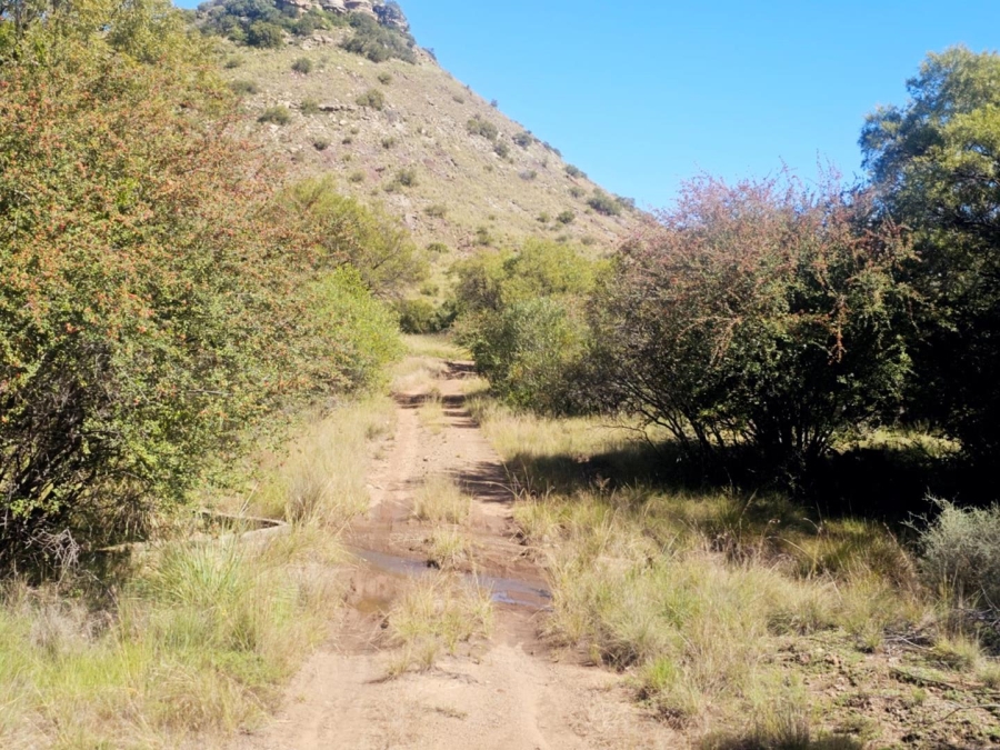 4 Bedroom Property for Sale in Dewetsdorp Free State